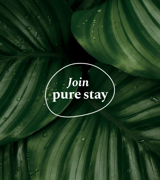 Join Pure Stay
